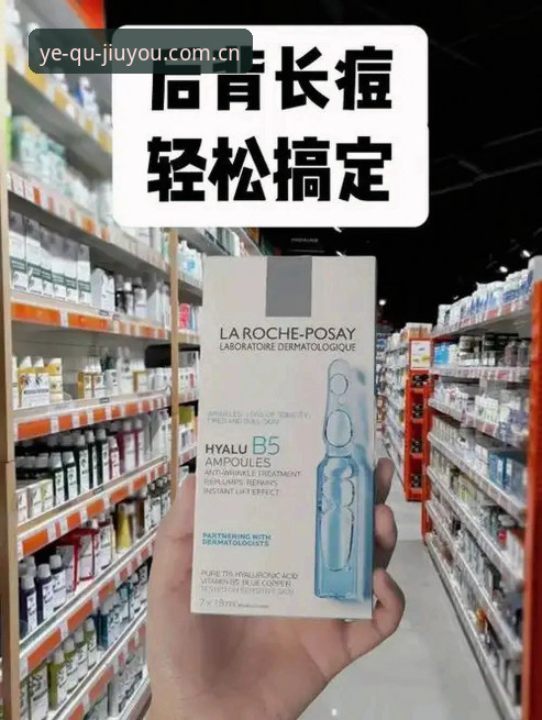 实测三个月，分享"每次打开都是新野趣中国官网入口"的真实体验与门道